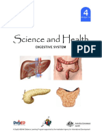 Digestive System.pdf