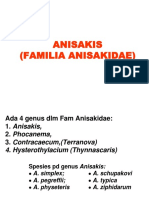 ANISAKIS