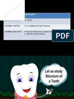Theme: Pure Science: Learning Standard 3.1 TEETH