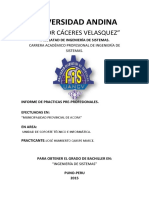 279786161-P1-CARATULA-informe-de-practicas-pre-profesionales.pdf