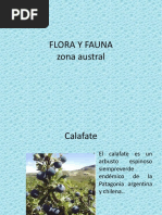 Flora y fauna del norte chico de Chile | PDF | Hogar, jardinería y ...