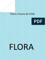 Flora y Fauna de Chile Zona Central