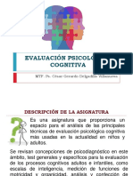 Evaluacion Psicologica Cognitiva PDF