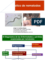 Diagnóstico nematodos vid