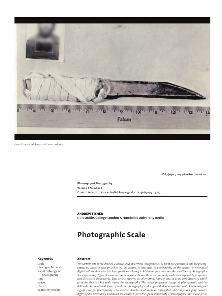 Andrew Fisher Photographic Scale PDF | PDF | Abstraction ...