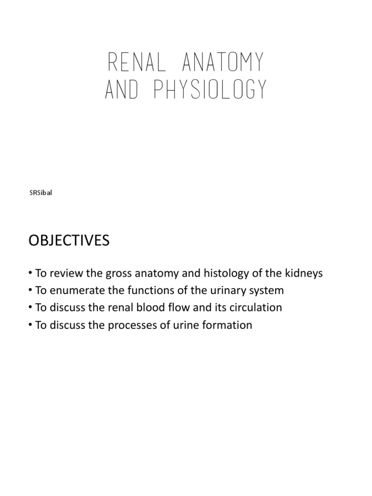 Renal Anatomy and Physiology: Srsibal | PDF | Kidney | Physiology