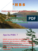 SBH - Krida Phbs Di RT