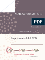 Metabolismo Del ARN