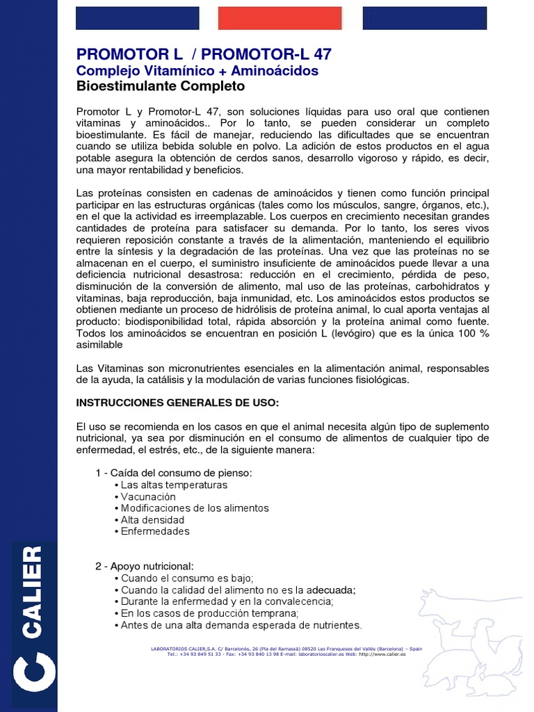 Promotor L General | PDF | Proteínas | Vitamina
