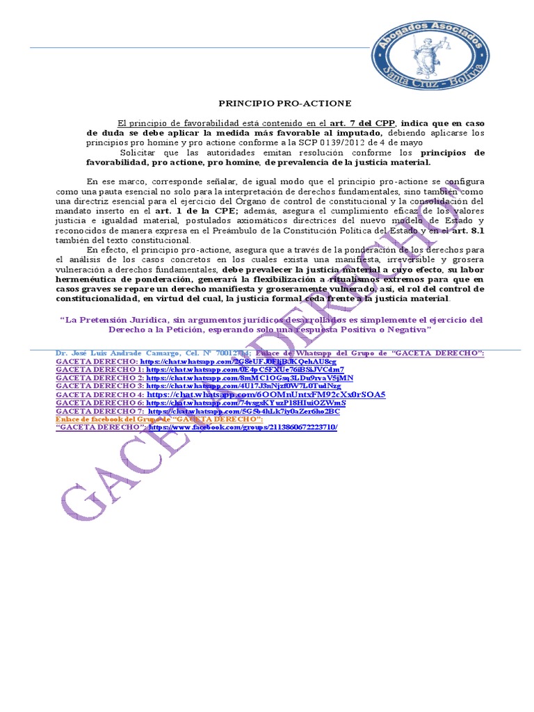 Principio Pro Actione... | PDF | Constitución | Justicia