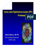 vacina HPV.pdf