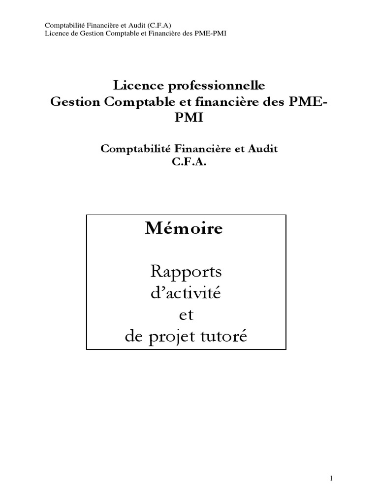 Rapport Pfe Pdf Comptabilite Audit
