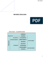 Revisão Zoologia