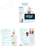 08 Ficha Resumen - Sistema Digestivo PDF