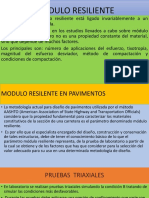 MODULO-RESILENTE.pptx