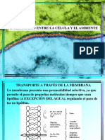 Documento 1