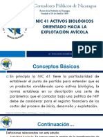 Nic 41 Activos Biologicos