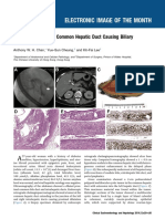 Electronic Image of The Month: A Rare Tumor of The Common Hepatic Duct Causing Biliary Obstruction