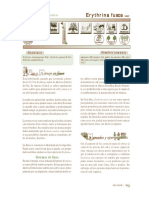 erythrina_fusca (2).pdf