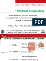 6-M-Bolanos-Fertilización-integrada-en-Musaceas.pdf