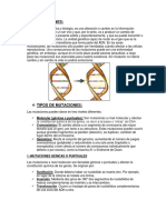 Mutaciones (Tipos Importancia Herencia Anomalías)