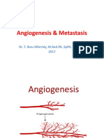 Angiogenesis & Metastasis