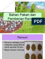 01 Bahan Pakan Dan Pemberian Ransum