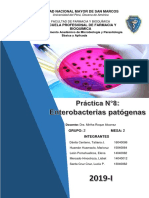 Practica 8 - Ent. Patogenas - INTRODUCCION-OBJETIVOS-MATERIALES - RESULTADOS