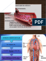 Arterias y Venas