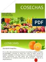 COSECHAS