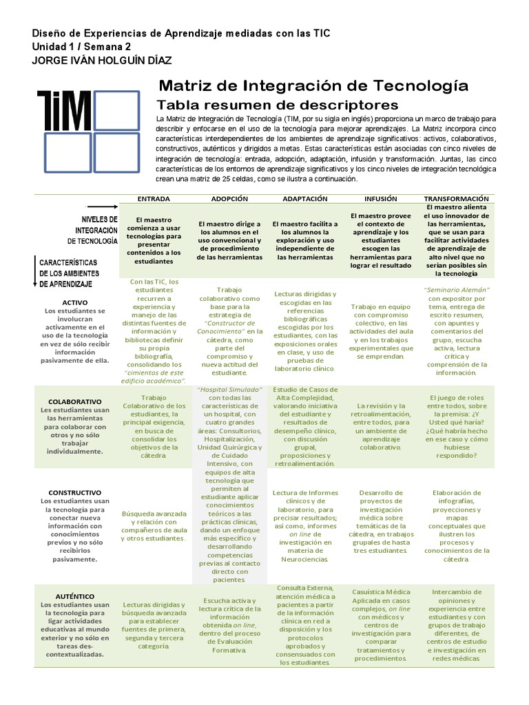 TIM, Matriz Con Descriptores, Aplicación | PDF | Evaluación ...