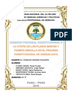 Ensayo Hábeas Data Viia PDF