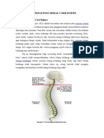 Paraplegi Post Spinal Cord Injury Pengertian Spinal Cord Injury