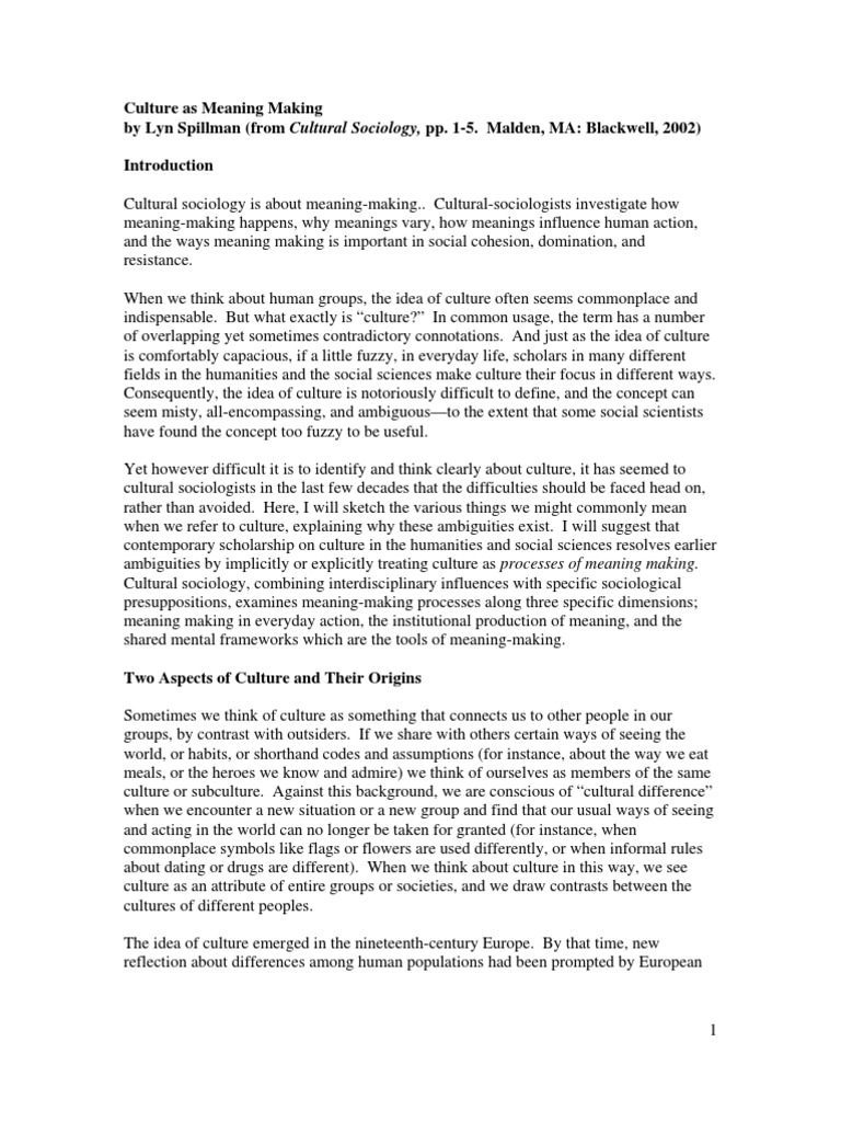 Spillman, Lyn Culture As Meaning Making PDF Sociology Social
