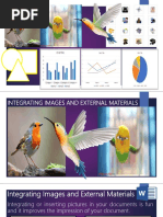 Integrating Images and External Materials