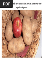 22. Placez Les Pommes de Terre Dans Un Sachet Avec Une Pomme