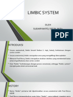 Limbic System