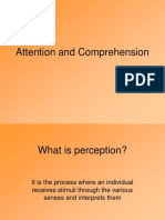 How attention and comprehension shape perception