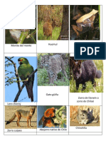 ANIMALES EXTINCION EJEMPLOS.docx