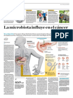 La Microbiota Influye en El Cáncer