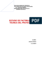 Estudio de Factibilidad Técnica Del Proyecto