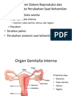 Pemicu 1 Reproduksi Rilianda