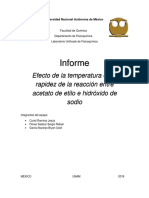 Informe Proyecto Luf