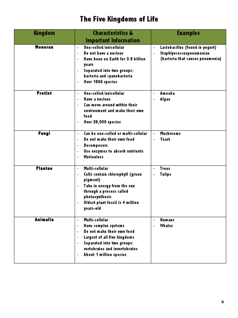 The Five Kingdoms of Life: Kingdom Characteristics & Important Information  Examples | PDF | Plants | Microorganism