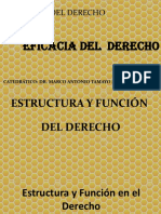 Estructura y Funcion Del Derecho