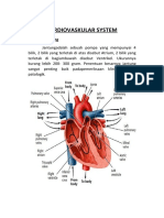 Cardiovaskular System