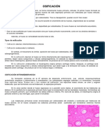 Osificación endocondral y crecimiento óseo