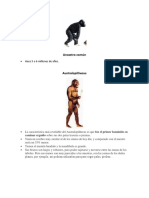 Caracteristicas Sapiens-Homo