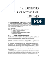 dt17-colectivo.pdf