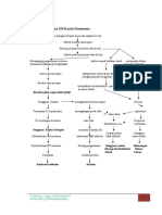 Penyimpangan KDM Pada Pneumonia